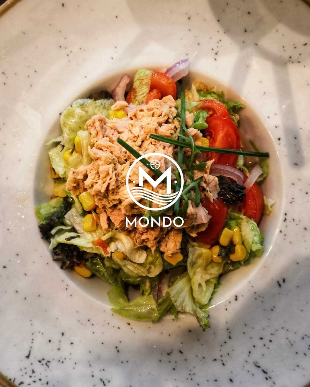 Mondo Kotor