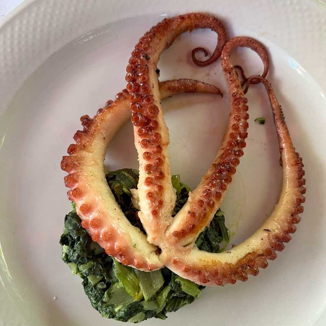 Stari Mlini Octopus